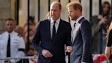 King Charles III pushes Prince Harry and Prince William to amend a ages-old ‘feud’