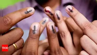 Eight seats of Indore-Ujjain division record close to 15% voting till 9.30am | Indore News - Times of India