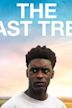 The Last Tree (film)