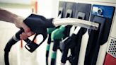 One in FIVE drivers has put the wrong fuel in their car
