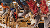 SD High School Rodeo Finals ends today