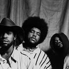 The Roots