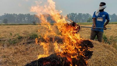 As stubble burning rises, AAP says it ’cannot enforce’ Punjab govt’s pollution control plan | Today News