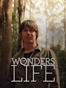 Wonders of Life