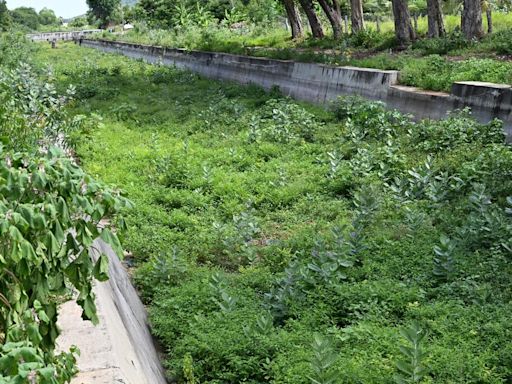Salem farmers demand desilting of east and west bank canals