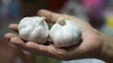 'Fertilizer is hugely important for garlic' – here's when and how to use it, according to expert growers