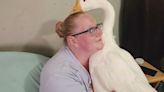 Woman fights to keep emotional support goose: ‘He’s the light of my day’