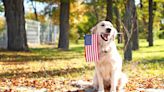 New Survey Ranks Favorite Dog Breeds by State