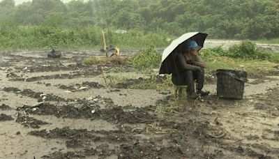 《種土》關注臺灣土地 盼從教育改變殘酷現況