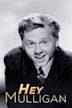 Mickey Rooney Show