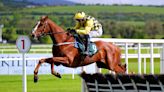 Gary Carson: Daddy Long Legs can fly to Tipperary win