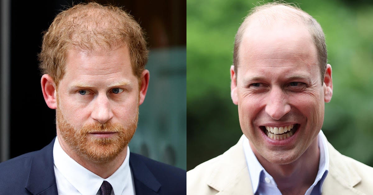 Where Prince Harry and Prince William's Relationship Stands Right Now