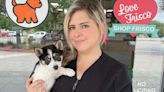 Man wearing a disguise returns stolen puppy to Frisco pet store