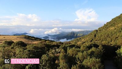 El arte conecta en vivo a los bosques de Ecuador con dos ciudades de Suiza y Alemania