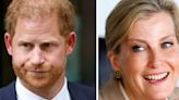 Sophie's brutal snub to Harry when explaining line of succession