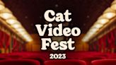 'CatVideoFest' will pounce back to the Speed Cinema in August. Here's what to know