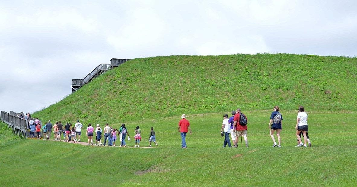 Land preservation group acquires properties near Ocmulgee Mounds