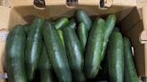 Cucumbers shipped to Carolinas, 12 other states recalled over possible salmonella contamination
