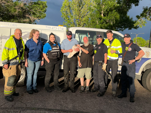 CSFD, good Samaritan rescue kitten from storm drain