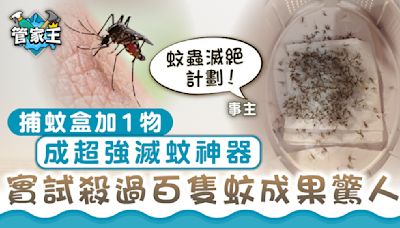 家居滅蚊｜捕蚊盒加1物成超強滅蚊神器 實試殺過百隻蚊成果驚人
