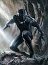 Black Panther (character)