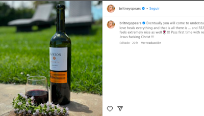 Britney Spears se deshizo en elogios hacia un vino mendocino