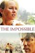 The Impossible (2012 film)