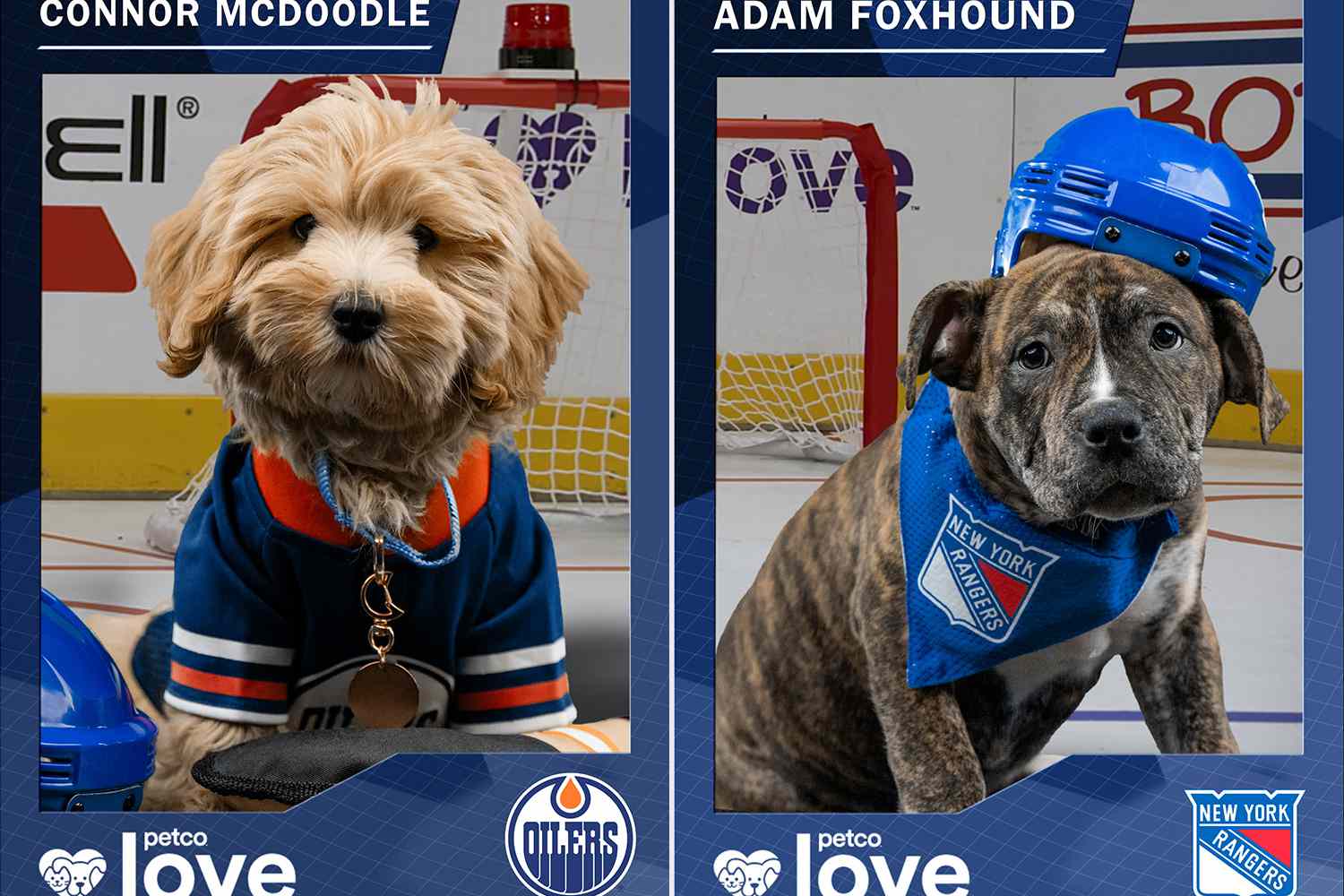 What Is the Stanley Pup? How to Watch the NHL's First Canine Hockey Game Filled with Rescue Dogs