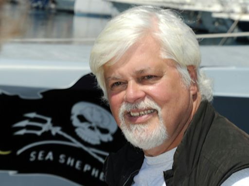 Paul Watson: eco-warrior on the high seas