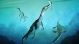 Ancient marine reptile from New Zealand is oldest found in southern hemisphere