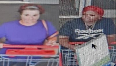 Duo accused of stealing printer, hoverboard from Sanford Target