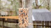 45 DIY Bird Feeder Ideas Anyone Can Recreate