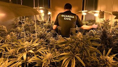 Detenidos en Paterna y Jerez siete miembros de una organización criminal de cultivo de marihuana indoor