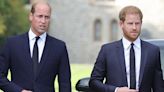 Prince Harry Says Prince William Screamed and Shouted at Him Over Decision to Step Back from Royal Life