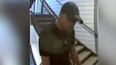 Police searching for Franklin porch pirate caught on camera