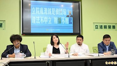 翁曉玲聲請2大法官迴避釋憲案被駁回 綠委：國民黨讓人笑掉大牙