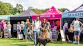 Britain’s best food festivals for 2024