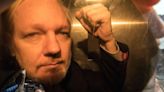 Assange Plea