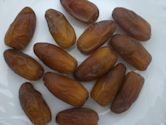 Date palm