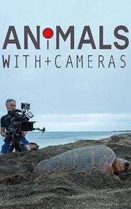 Animals with Cameras