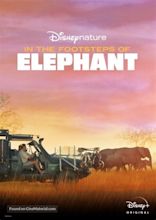 In the Footsteps of Elephant (2020) movie poster