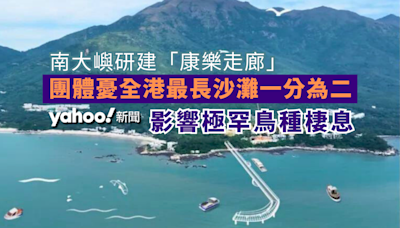 南大嶼研建「康樂走廊」 團體憂全港最長沙灘一分為二 影響極罕鳥種棲息︱Yahoo