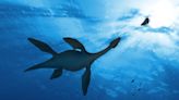 Scientists Finally Understand How Some Dinosaurs Swam Underwater