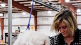 Top dogs: Locals compete in West Virginia’s biggest dog show