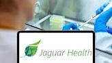 Why Is Jaguar Health (JAGX) Stock Down 40% Today?