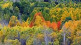 How a GOES satellite will lead to a new generation of leaf peeping