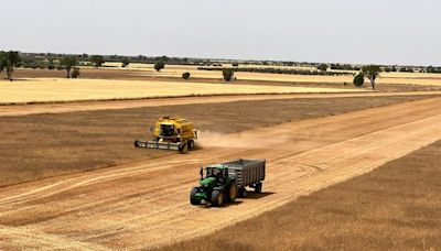 Castilla-La Mancha recibe más en el primer año de la nueva PAC (y falta la extra de verano)