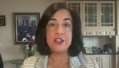 NY Rep. Malliotakis reacts to congesting pricing delay