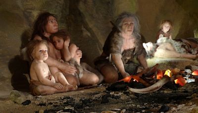 Unearthed fossil of Neanderthal child with Down syndrome hints at ‘compassionate caregiving’ of these extinct humans