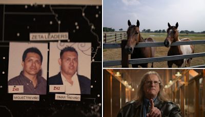 Cowboy Cartel: How FBI busted deadly Mexican gang by tracking their quarter horses